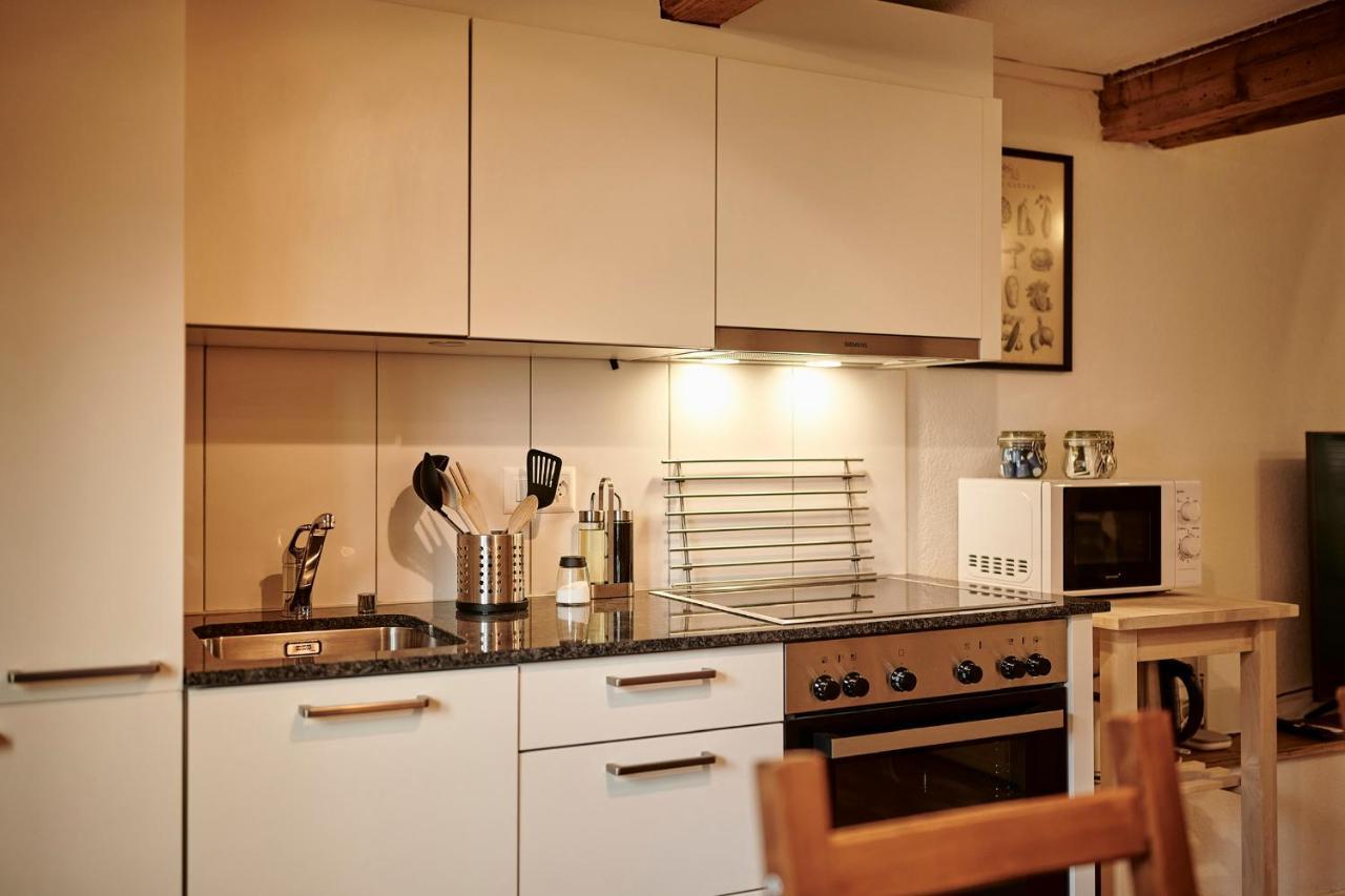 Lakeside Tiny House Brienz เบรียนส์ ภายนอก รูปภาพ